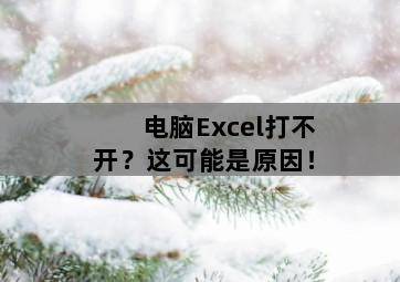 电脑Excel打不开?这可能是原因! 电脑Excel打不开?这可能是原因!-图片1